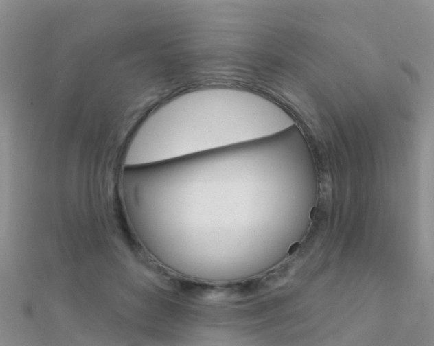 X0000112430504200908141114