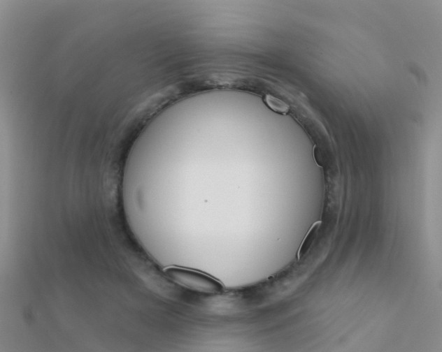 X0000112430505200908141114