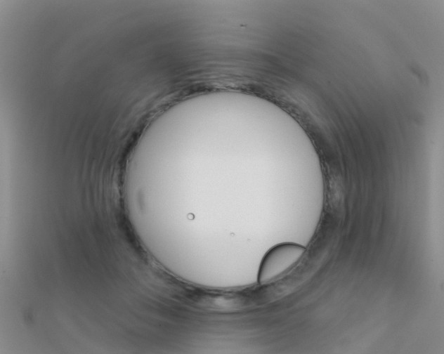 X0000112430506200908141114