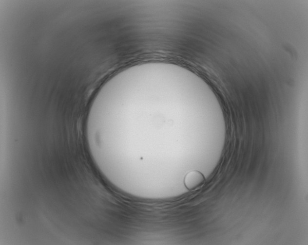 X0000112430508200908141114