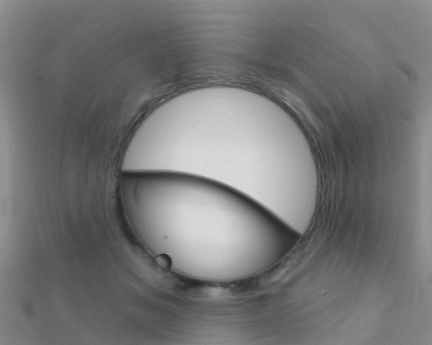 X0000112430509200908141114