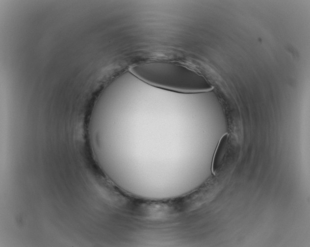 X0000112430512200908141114