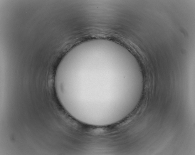 X0000112430513200908141114