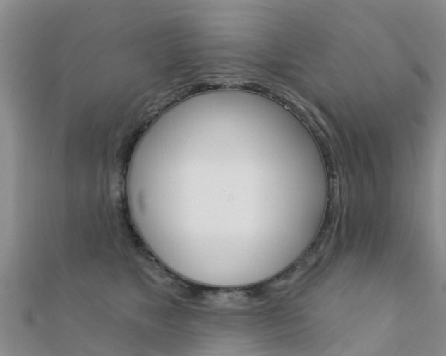 X0000112430517200908141114