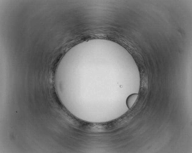 X0000112430518200908141114