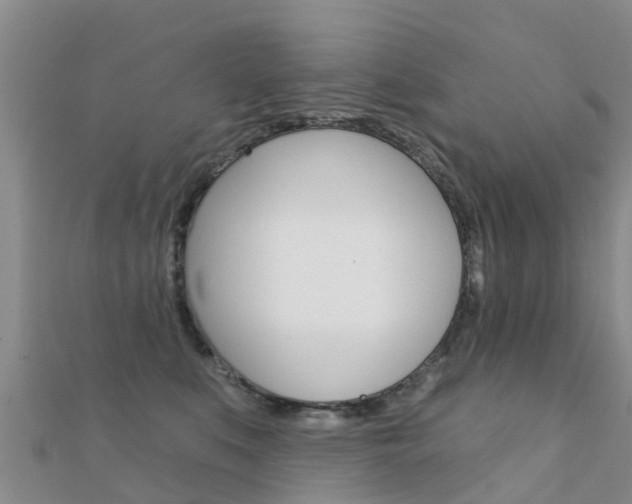 X0000112430519200908141114