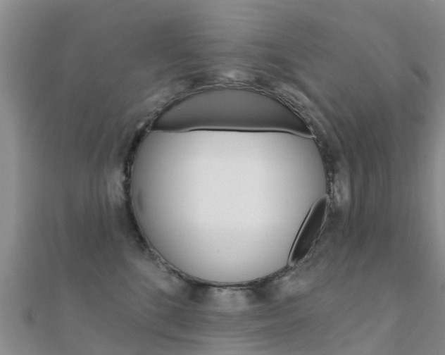 X0000112430520200908141114