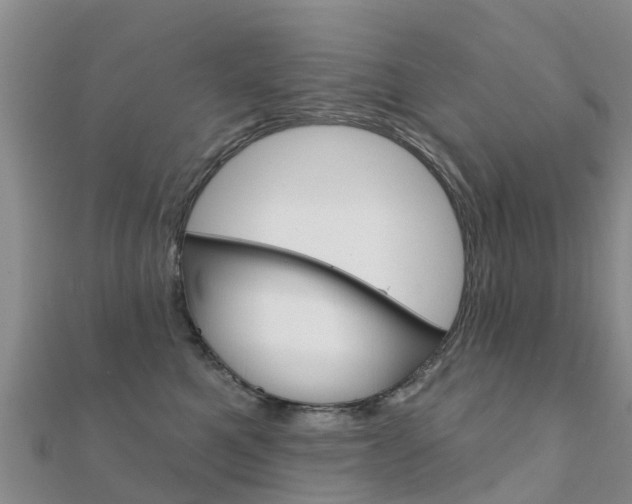 X0000112430521200908141114