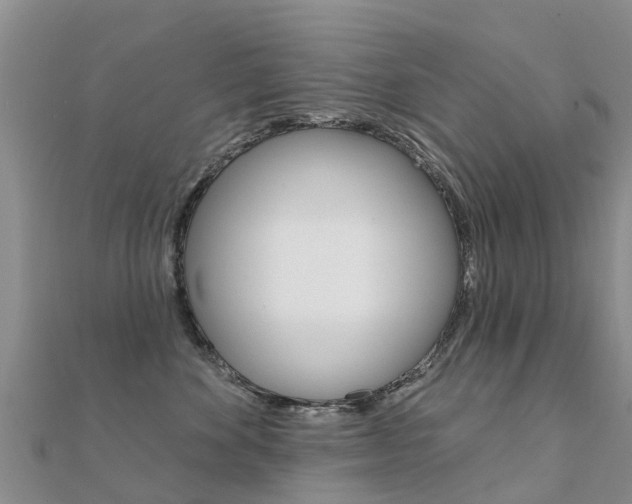 X0000112430524200908141114