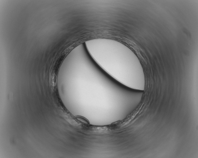 X0000112430525200908141114