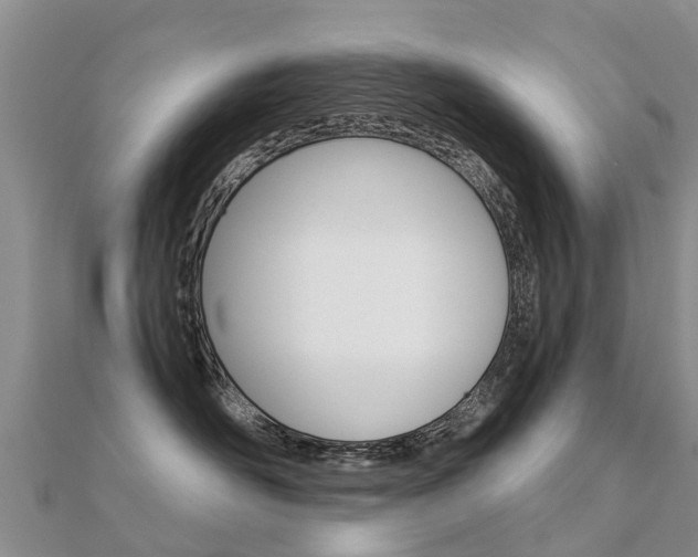 X0000112430526200908141114