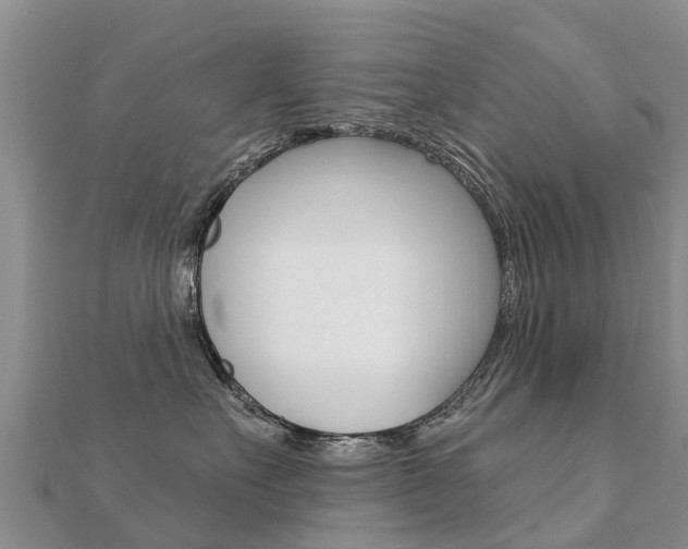X0000112430527200908141114