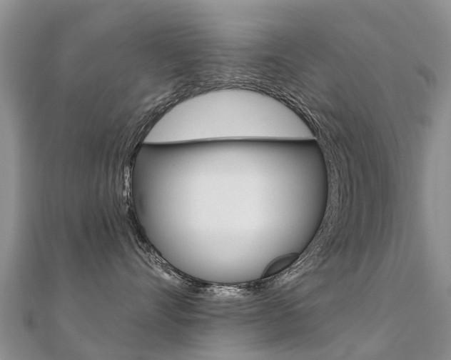X0000112430528200908141114