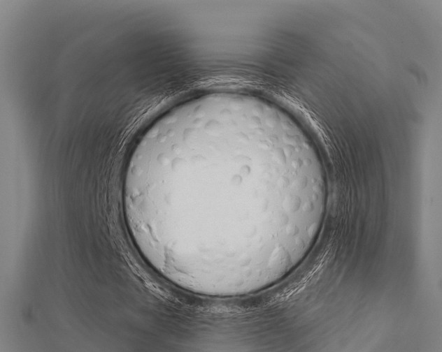 X0000112430529200908141114