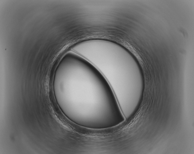 X0000112430530200908141114