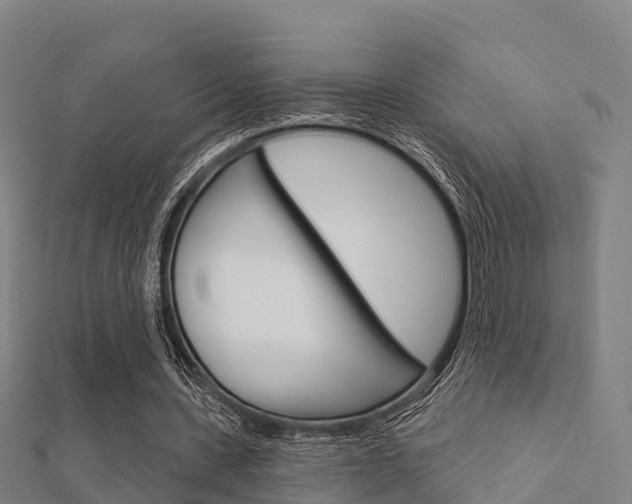 X0000112430531200908141114