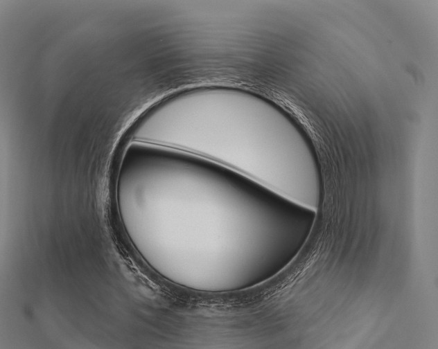 X0000112430532200908141114