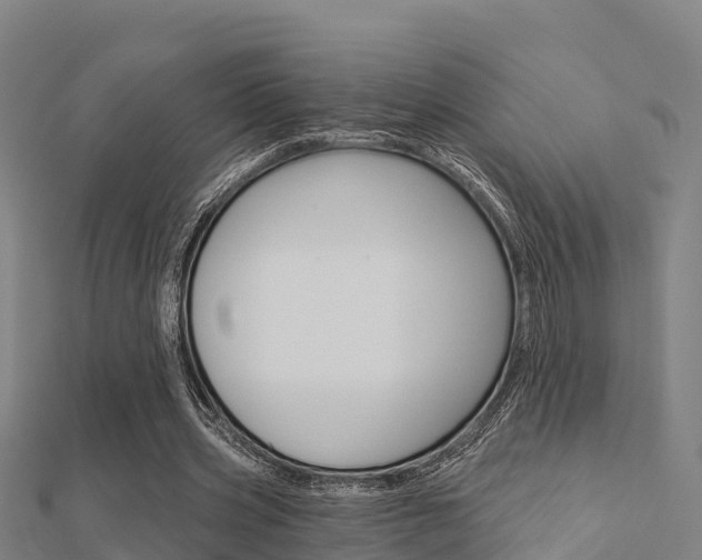 X0000112430533200908141114