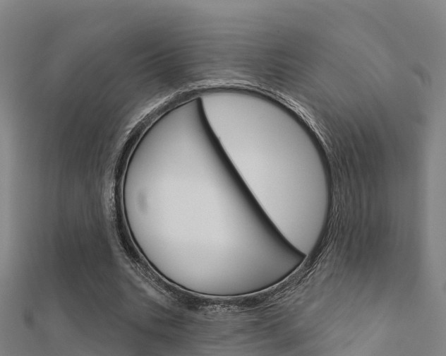 X0000112430535200908141114