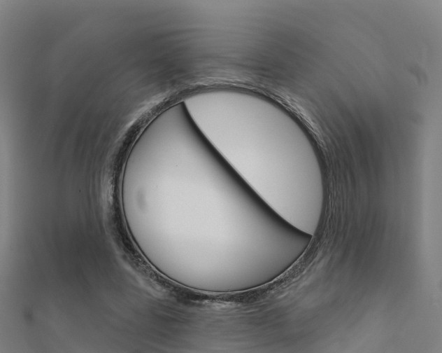 X0000112430539200908141114