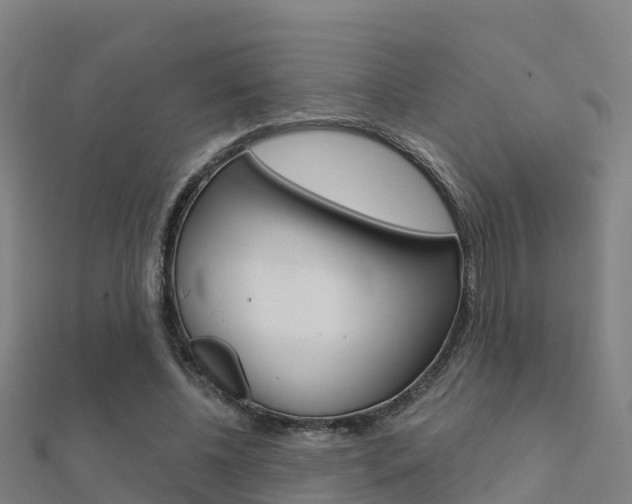 X0000112430540200908141114