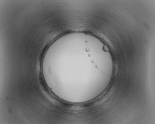 X0000112430541200908141114