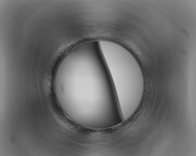 X0000112430544200908141114