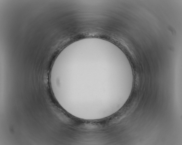 X0000112430545200908141114