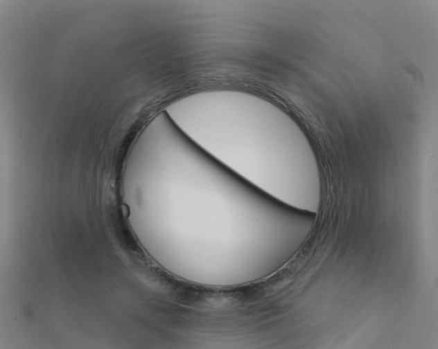 X0000112430547200908141114