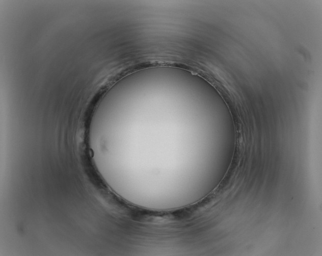X0000112430548200908141114