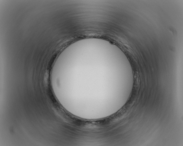 X0000112430550200908141114