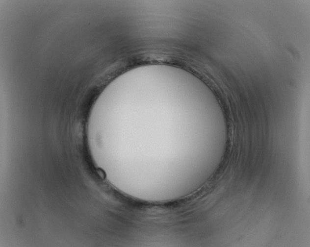 X0000112430551200908141114