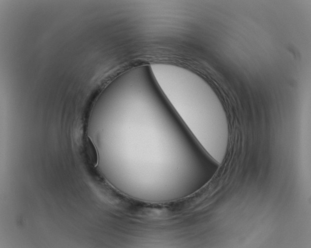 X0000112430552200908141114
