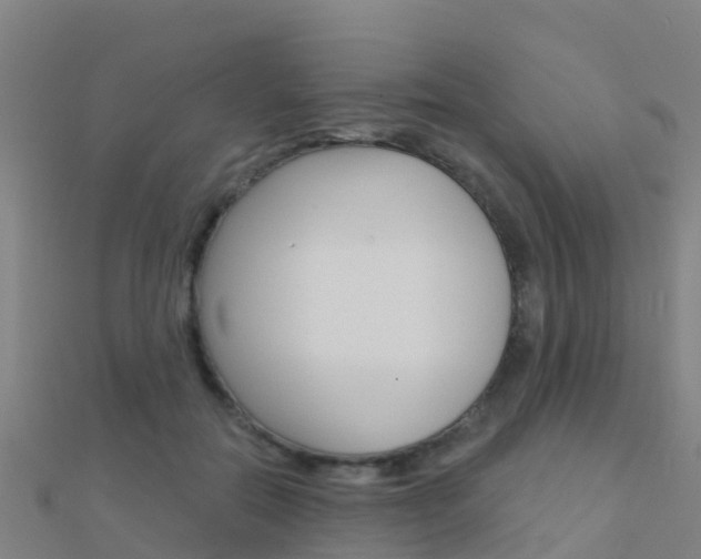 X0000112430554200908141114