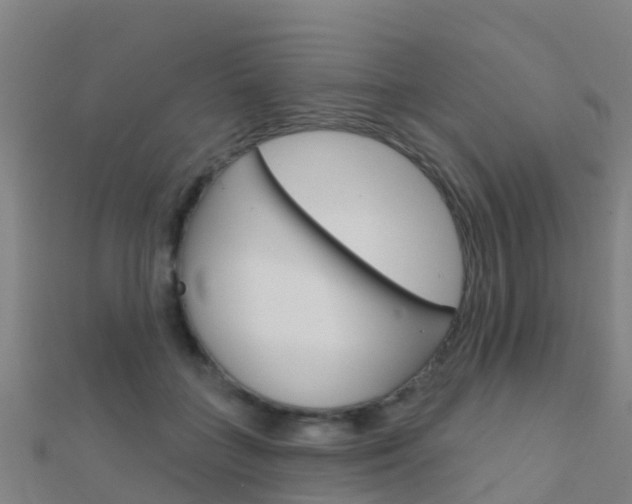 X0000112430555200908141114