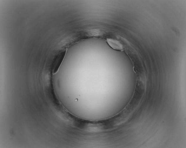 X0000112430556200908141114