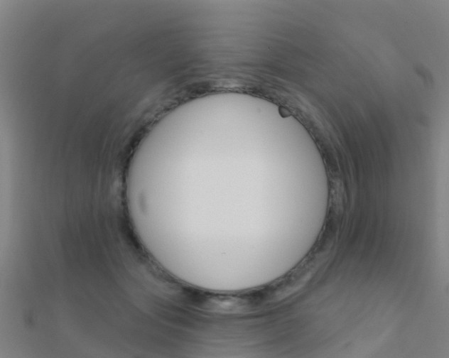 X0000112430557200908141114