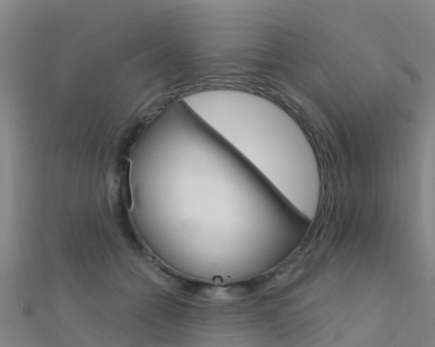 X0000112430558200908141114