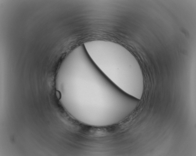 X0000112430559200908141114