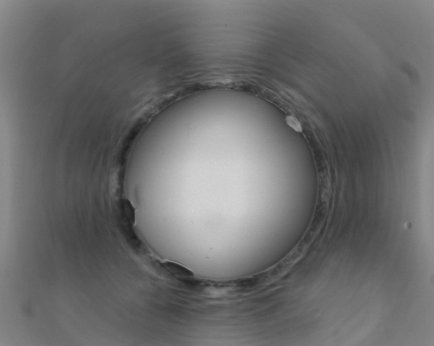 X0000112430560200908141114