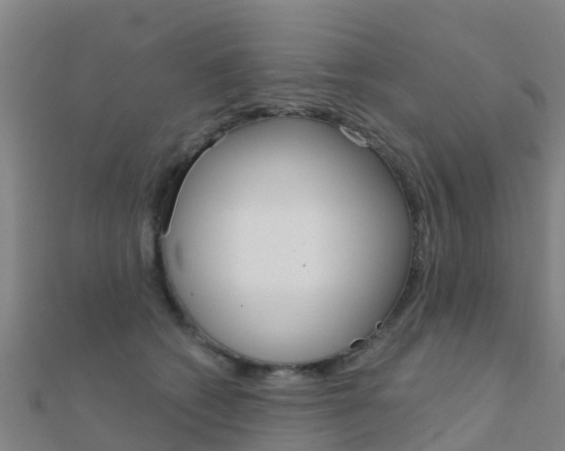 X0000112430562200908141114
