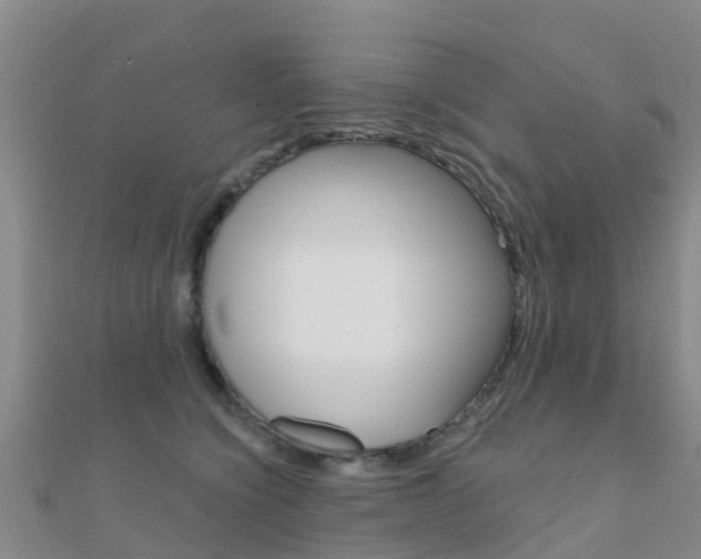 X0000112430564200908141114