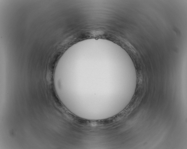X0000112430565200908141114