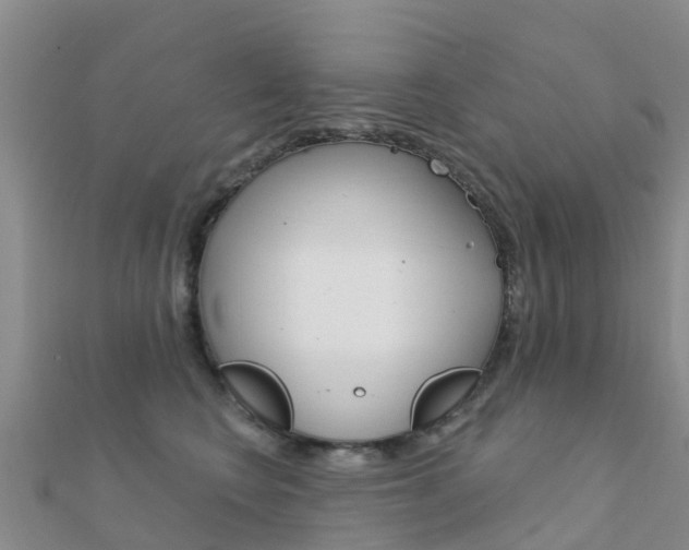 X0000112430566200908141114
