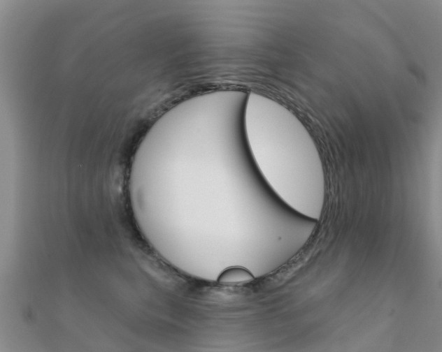 X0000112430567200908141114