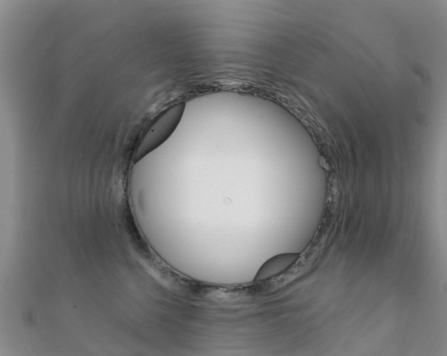 X0000112430568200908141114