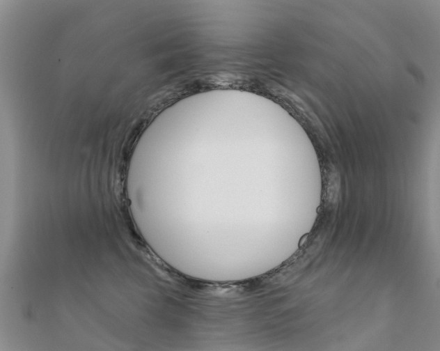 X0000112430569200908141114
