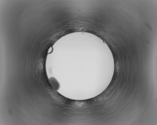 X0000112430570200908141114