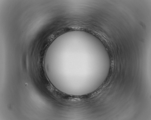 X0000112430572200908141114
