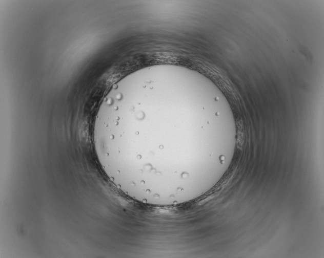 X0000112430573200908141114